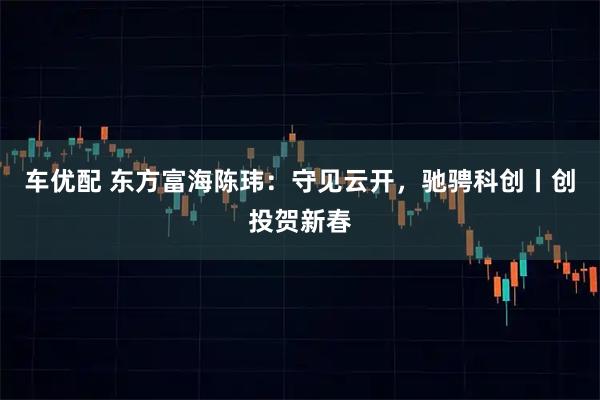 车优配 东方富海陈玮：守见云开，驰骋科创丨创投贺新春